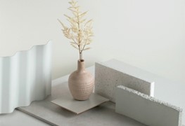 A vase with a plant in itDescription automatically generated